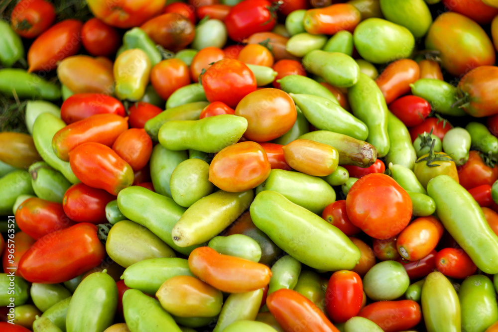 A vibrant and colorful background featuring a variety of tomatoes and plums in shades of green and red. rich textures and diverse colors of the fruits, creating lively and visually appealing pattern A vibrant and colorful background featuring a variety of tomatoes and plums in shades of green and red. rich textures and diverse colors of the fruits, creating lively and visually appealing pattern