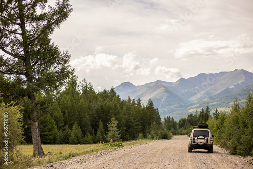 SUV on scenic mountain road in the forest