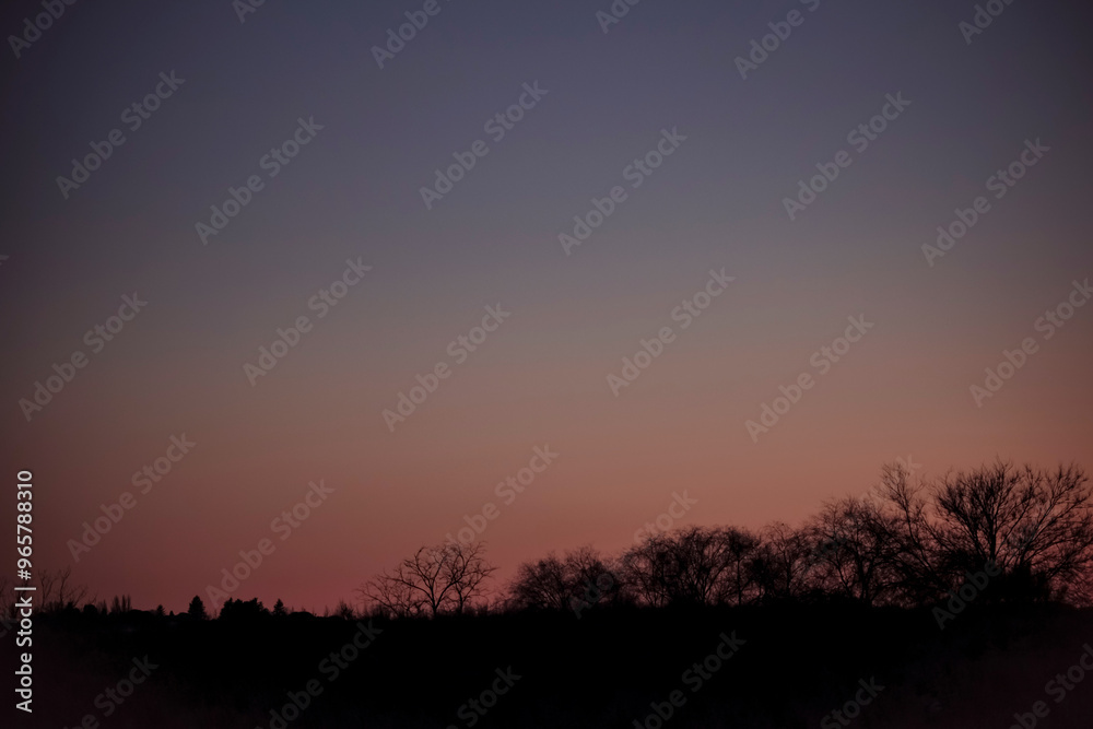 Serene twilight hues over a tree-lined horizon Serene twilight hues over a tree-lined horizon