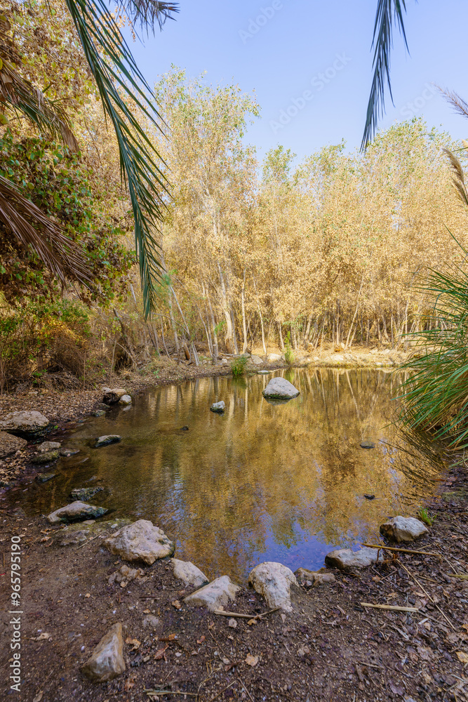 Wading pool, in Einot Tzukim (Ein Feshkha) Nature Reserve