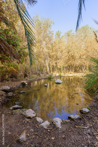 Obraz na płótnie Wading pool, in Einot Tzukim (Ein Feshkha) Nature Reserve w salonie