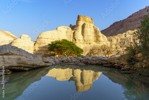 Obraz na płótnie Zohar stronghold, and winter puddle, Judaean Desert w salonie
