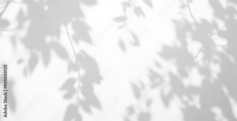 Delicate Leaf Shadows Overlay, Transparent Background: Soft and Airy Patterns of Light and Shadow for Design and Photography. Minimalist Design & Natural Overlay
Delicate Leaf Shadows Overlay, Transparent Background: Soft and Airy Patterns of Light and Shadow for Design and Photography. Minimalist Design & Natural Overlay