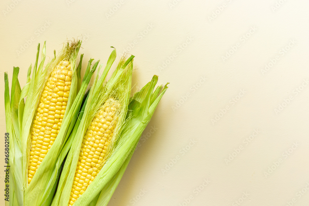 Two fresh yellow corns on the cob, top view. Vegetable background Two fresh yellow corns on the cob, top view. Vegetable background