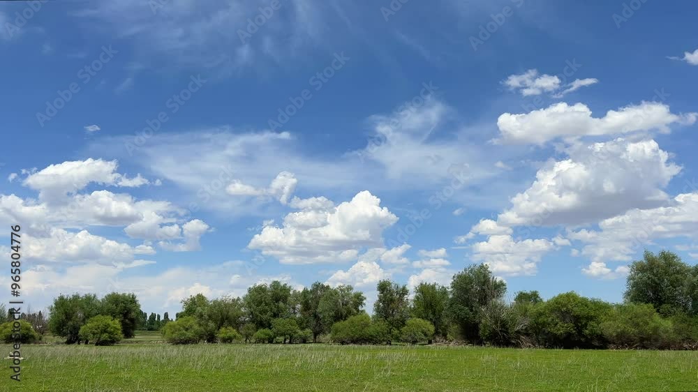 Picturesque meadow with trees and skyscape Picturesque meadow with trees and skyscape