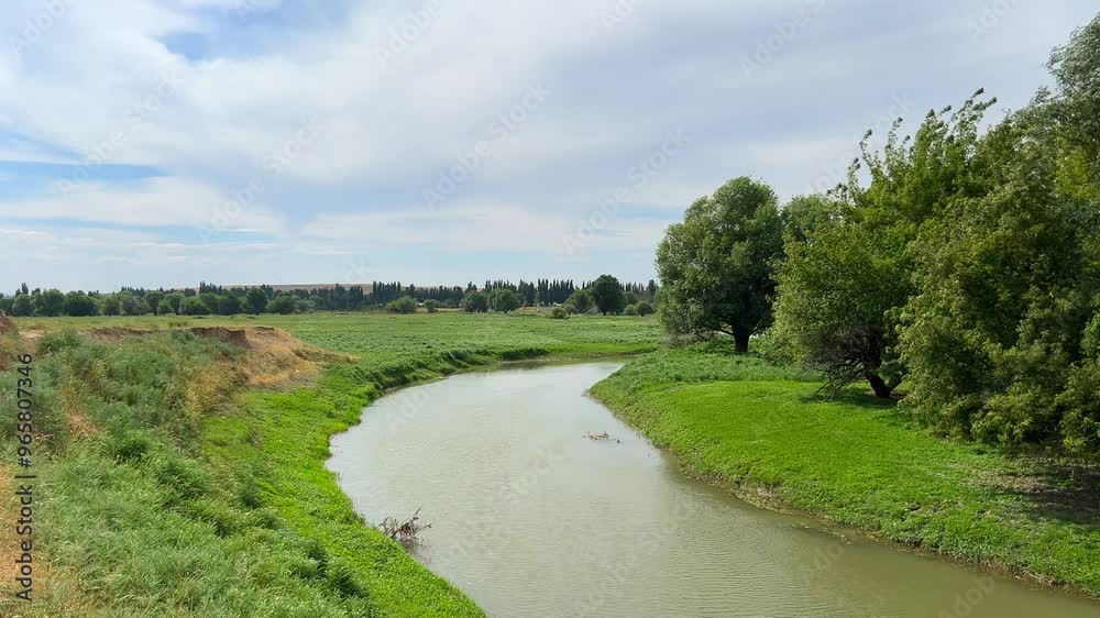 Landscape river and green grass and trees swaying in the wind Landscape river and green grass and trees swaying in the wind