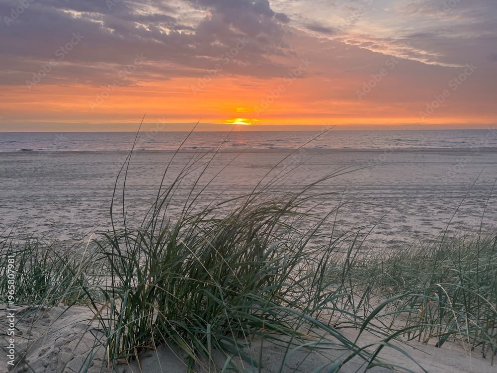 Fototapeta premium Sunset at the sea and beach with dune grass in the foreground