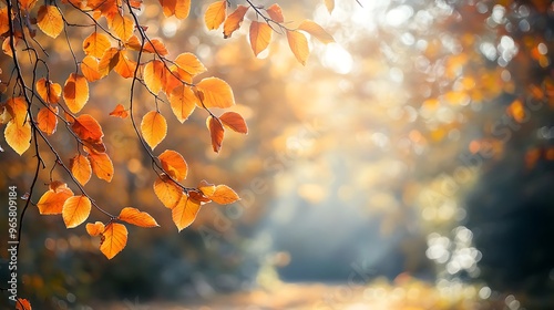 Beautiful Falling Leaves Create a Magical Autumn Scene in Nature