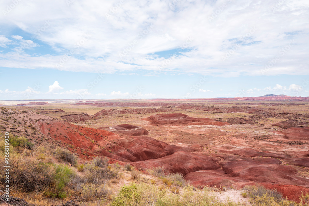 petrified forest national park petrified forest national park