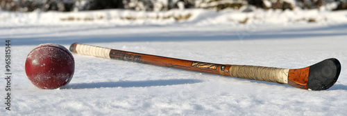 Hockey stick and puck on surface photo