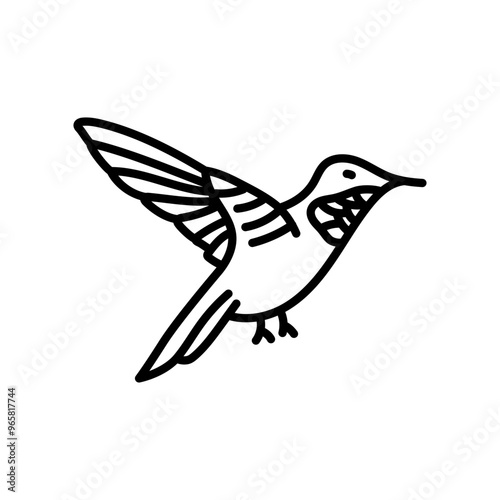 Hummingbird Outline Icon, Vector illustration