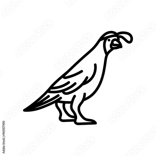 Quail Outline Icon, Vector illustration