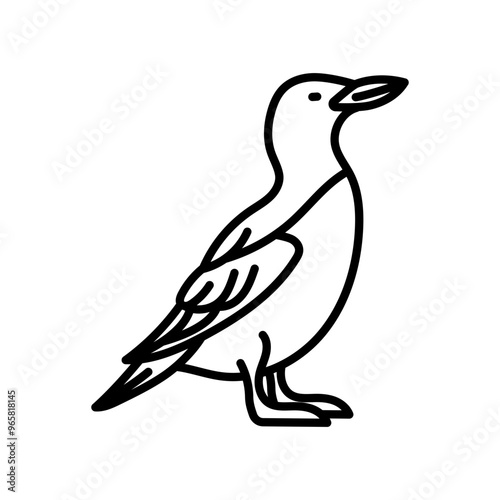 Guillemot Outline Icon, Vector illustration