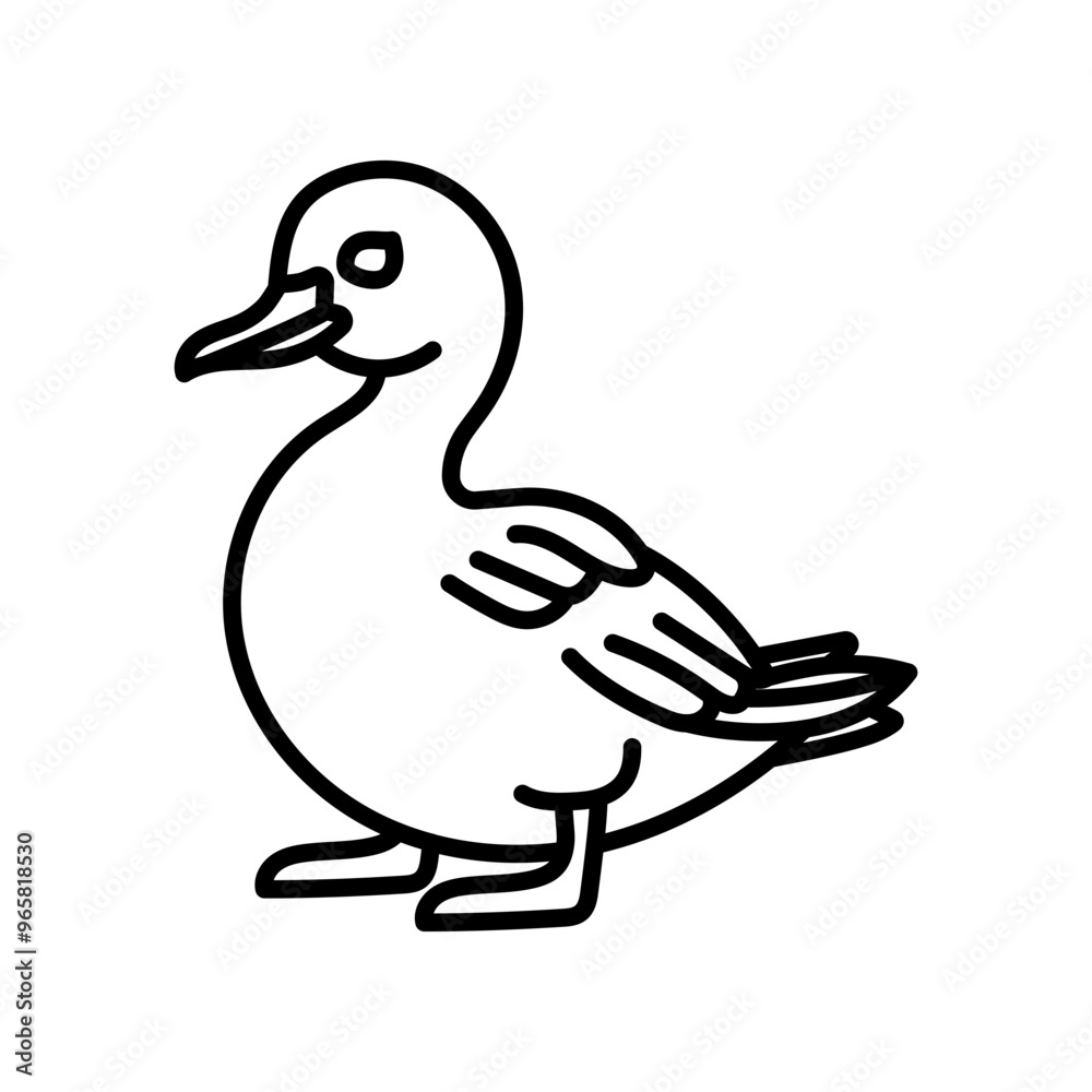 Velvet Scoter Outline Icon, Vector illustration Velvet Scoter Outline Icon, Vector illustration