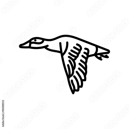 Eider Outline Icon, Vector illustration