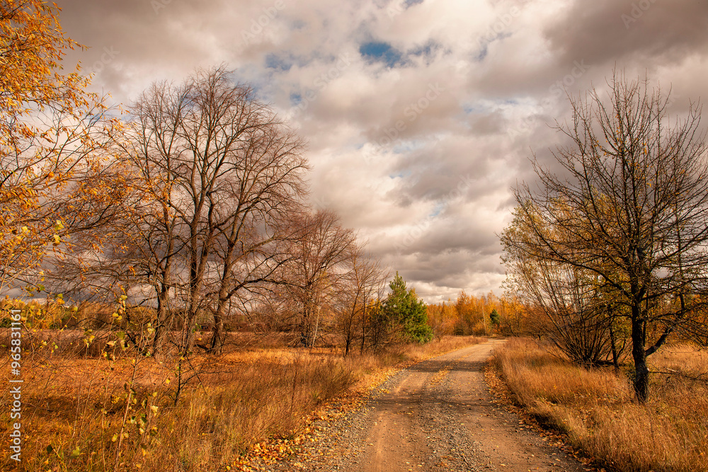 Obraz premium autumn landscape with dirt road among trees and autumn sky on sunny day