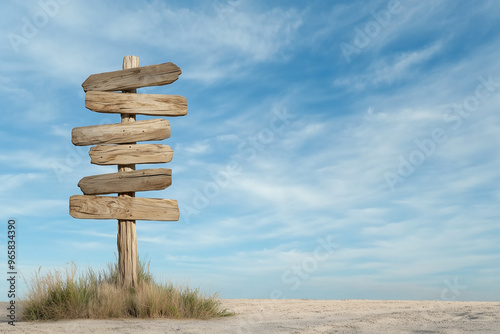 A weathered signpost with blank panels invites viewers to project their dreams, symbolizing limitless possibilities and the empowerment to forge their own unique path in life.