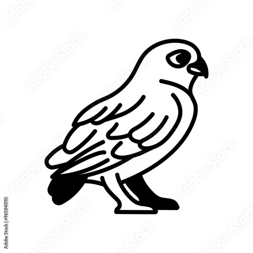 Burrowing Owl Glyph Icon, Vector illustration