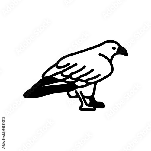 Ferruginous Hawk Glyph Icon, Vector illustration photo