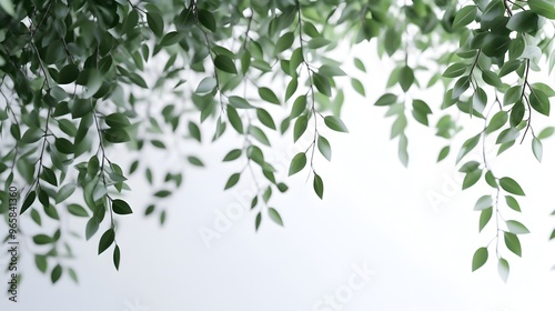 Wallpaper Mural Tranquil Forest Foliage with Soft Blurred Greenery and Lush Natural Texture Torontodigital.ca