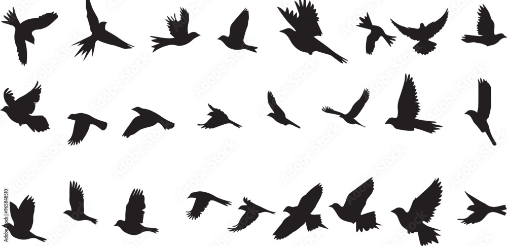 Silhouette of Birds in Flight Vector Illustration | Flying Bird Silhouettes | Bird Vector Graphic | Bird Clip Art | Bird Design Element