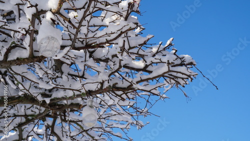 фотографія Snow-covered wooden branches on a wintery day