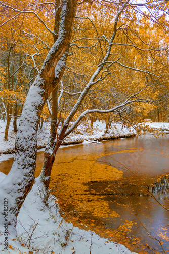 First snow and golden colored trees by pond in fall