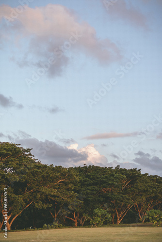 rainbow over the river