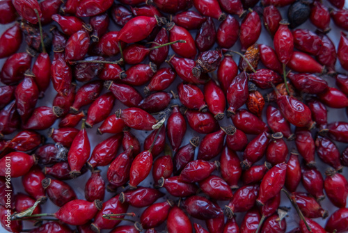 Getrocknete Hagebutten Nahaufnahme von oben