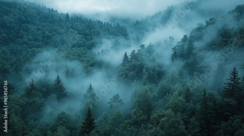 7. Morning mist rolling through a dense forest, foggy weather, mysterious ambiance