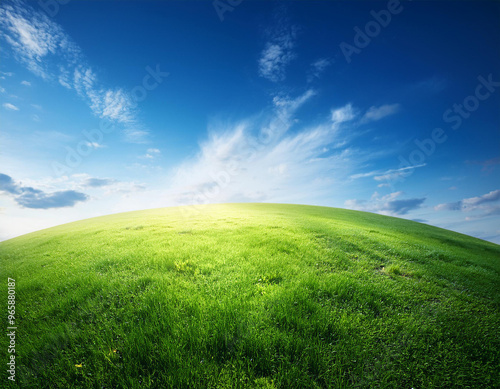 Part of a spherical panorama of a green meadow with trees and blue sky