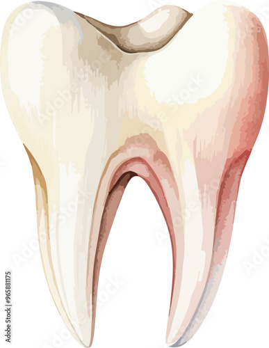 Tooth clipart desing illustration