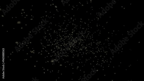 Flies flying into the frame and swarming.