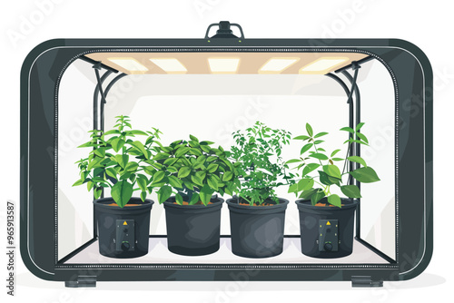 grow tent in appartment isolated