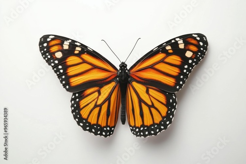 Ultra realistic uhd photo of monarch butterfly on white