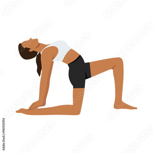 Young woman doing Camel Pose Variation One Leg In Front or Ustrasana Variation One Leg In Front. Flat vector illustration isolated on white background