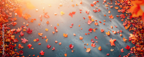 Top view to beautiful asphalt road with many colourful maple leaves falling from the trees in beautiful park in autumn.