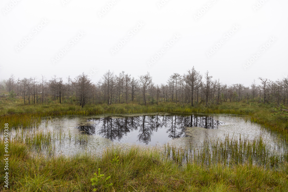 Nebel im Hochgebirge Nebel im Hochgebirge