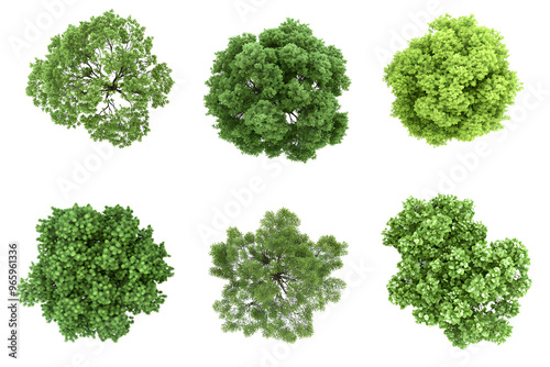 Collection of 3D Top view Green Trees isolated on transparent or white background, png