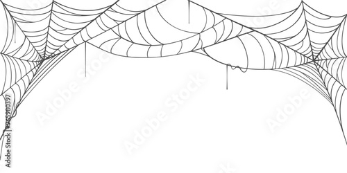 illustration of a spider web halloween frame, spider web vector eps