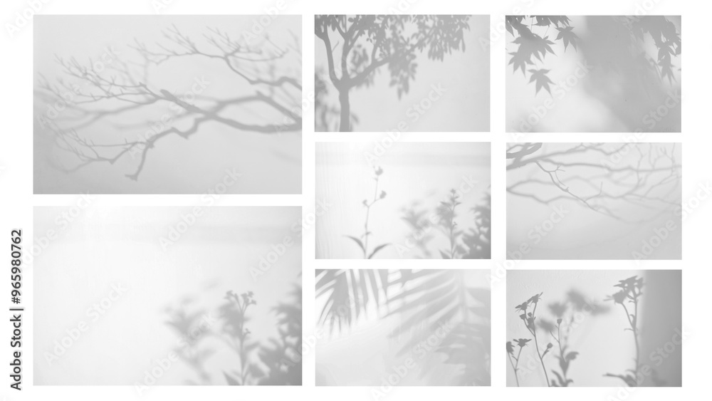 PNG tree and branch shadow element set, transparent background PNG tree and branch shadow element set, transparent background