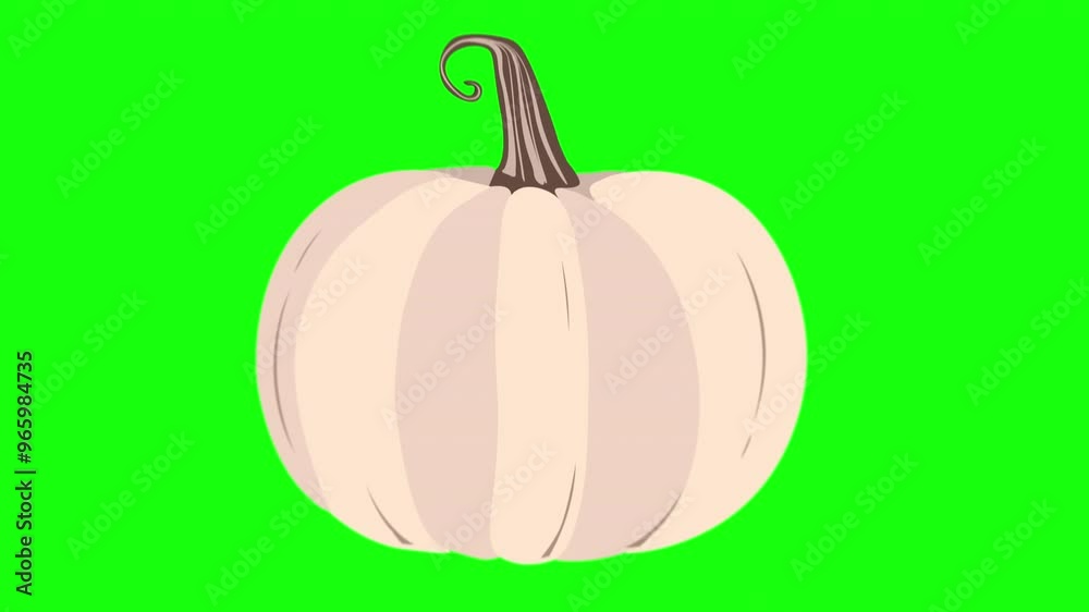 Animated Pumpkin. Autumn, Thanksgiving and Halloween design element. Fall season objects. Autumn design isolated on green chroma key screen and white background. Organic Pumpkins Animation. Animated Pumpkin. Autumn, Thanksgiving and Halloween design element. Fall season objects. Autumn design isolated on green chroma key screen and white background. Organic Pumpkins Animation.