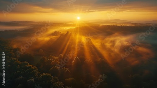 Aerial view of vibrant green forest at sunset with warm hues, capturing the natural beauty of the landscape.