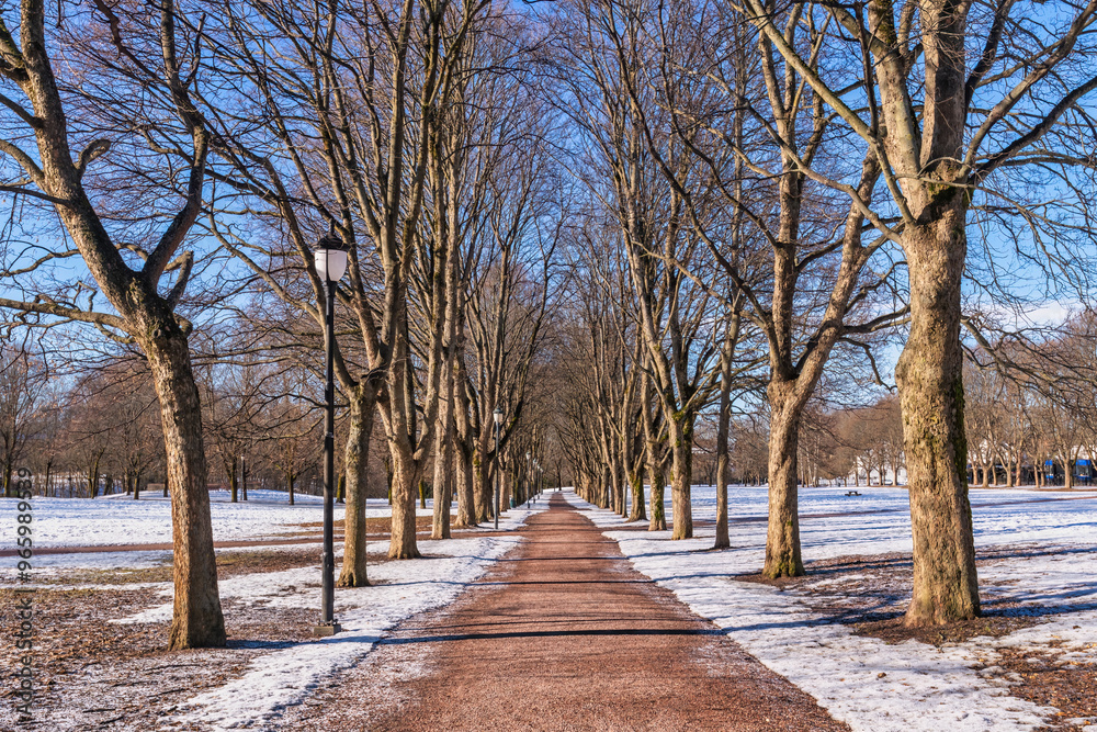 Oslo Norway, snow winter landscape at Vigeland Park