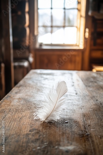 Delicate White Feather on Rustic Wooden Table