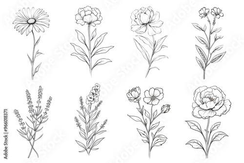 Line art flower png cut out set