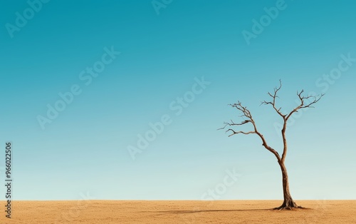 An old, withered tree standing alone in a vast empty field, endurance, loneliness over time photo