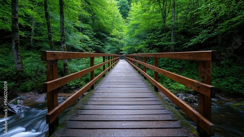 Wooden bridge crossing over a stream in a forest, canopy of trees above, peaceful ambiance