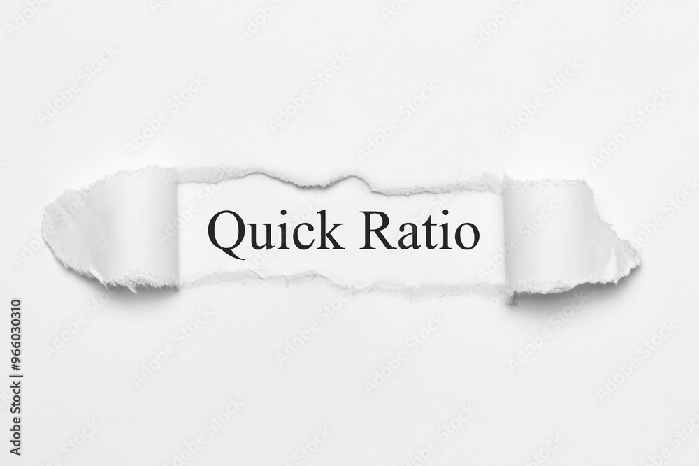 Quick Ratio	