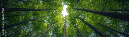 Starry sky shining down on green trees, representing the balance between environmentalism and cosmic harmony, green trees under stars, eco-conscious design